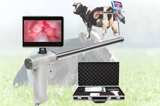 Visual Veterinary Endoscope: High-Quality Digital AI Gun for Cattle Artificial Insemination