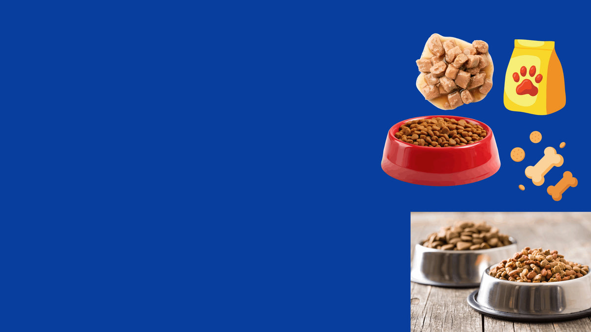 Premium dry dog food and healthy dog treats