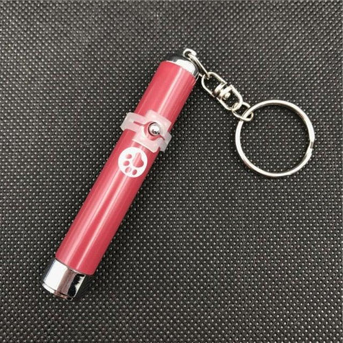 USB Rechargeable LED Laser Pointer Cat Toy