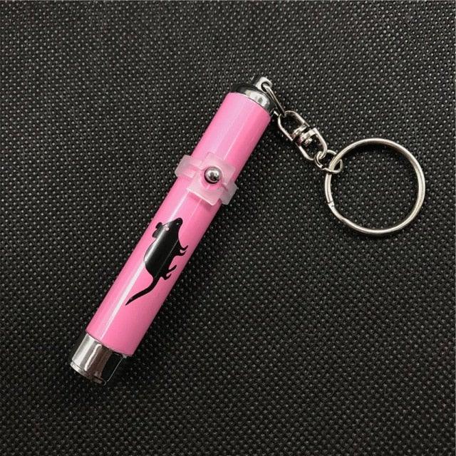 USB Rechargeable LED Laser Pointer Cat Toy