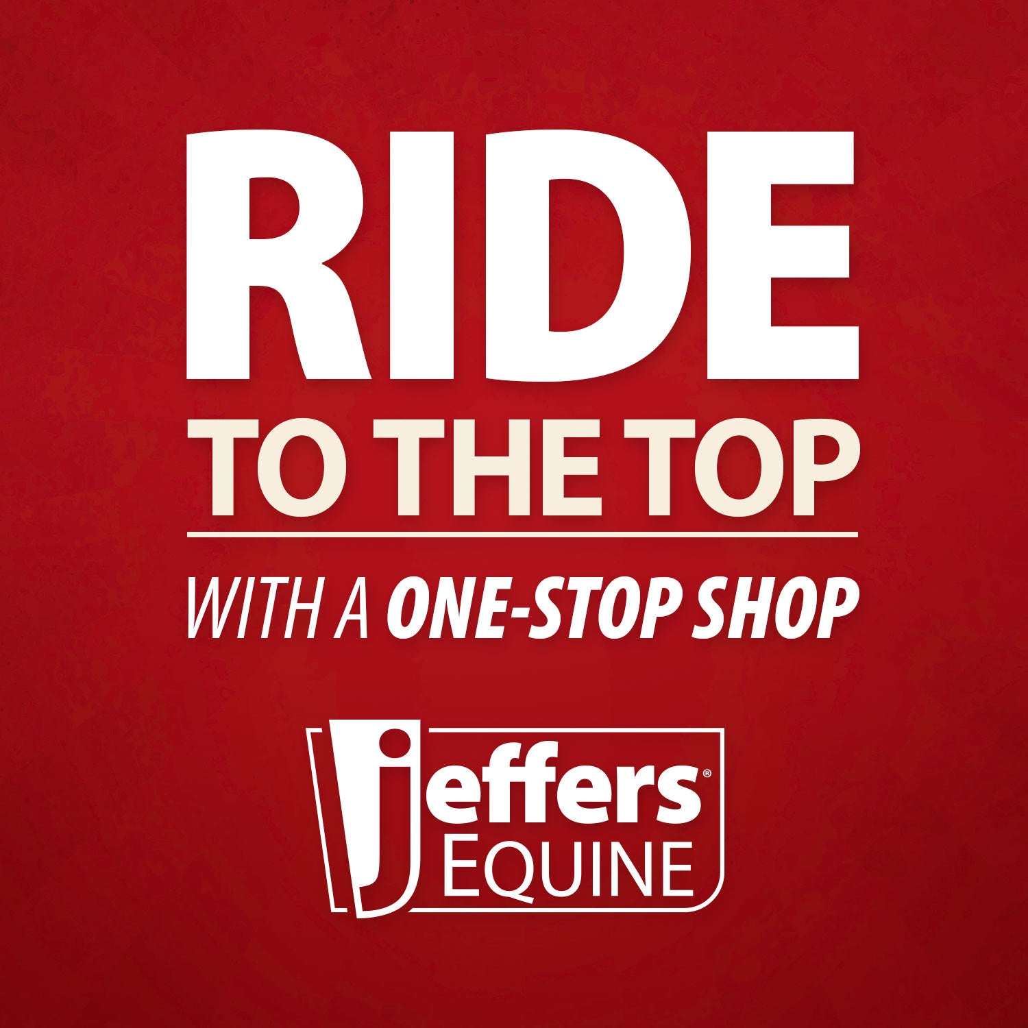 Jeffers Pain-Less Paste - Natural Horse Pain Relief & Joint Support (30cc)