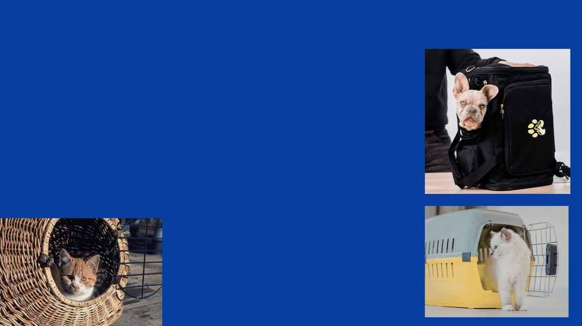 Durable dog crate and pet travel carrier for small and large dogs